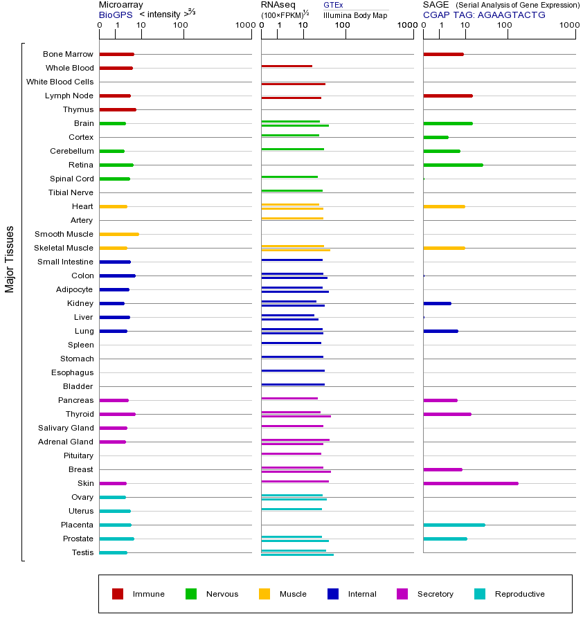 基因在不同组织中的表达图