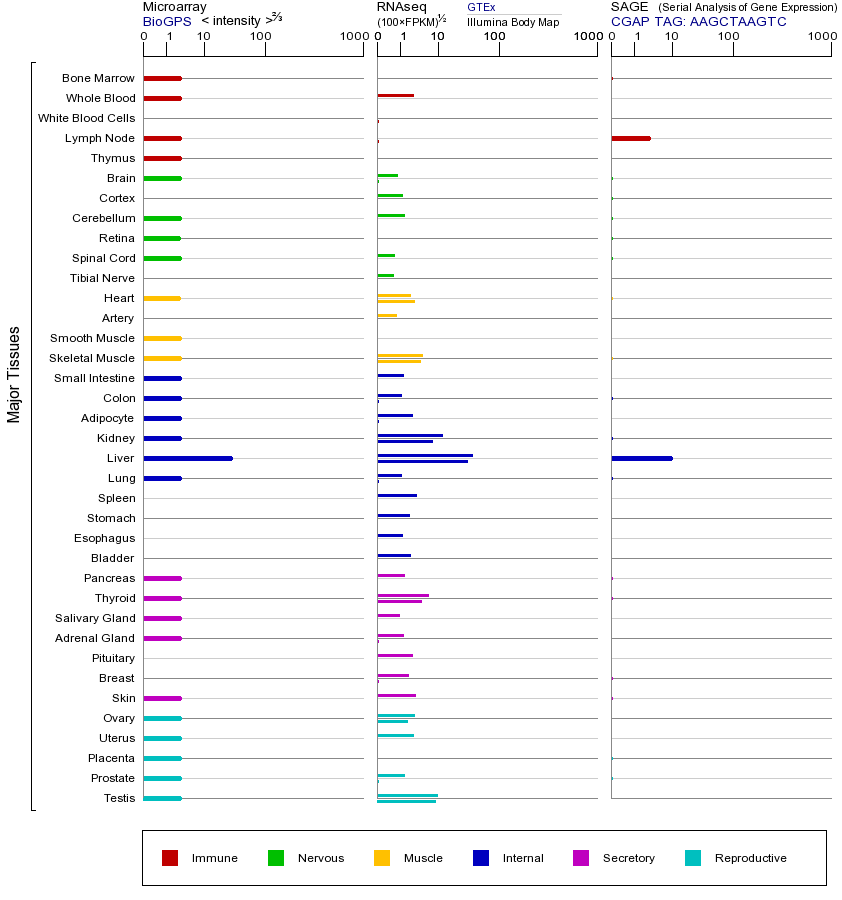 基因在不同组织中的表达图