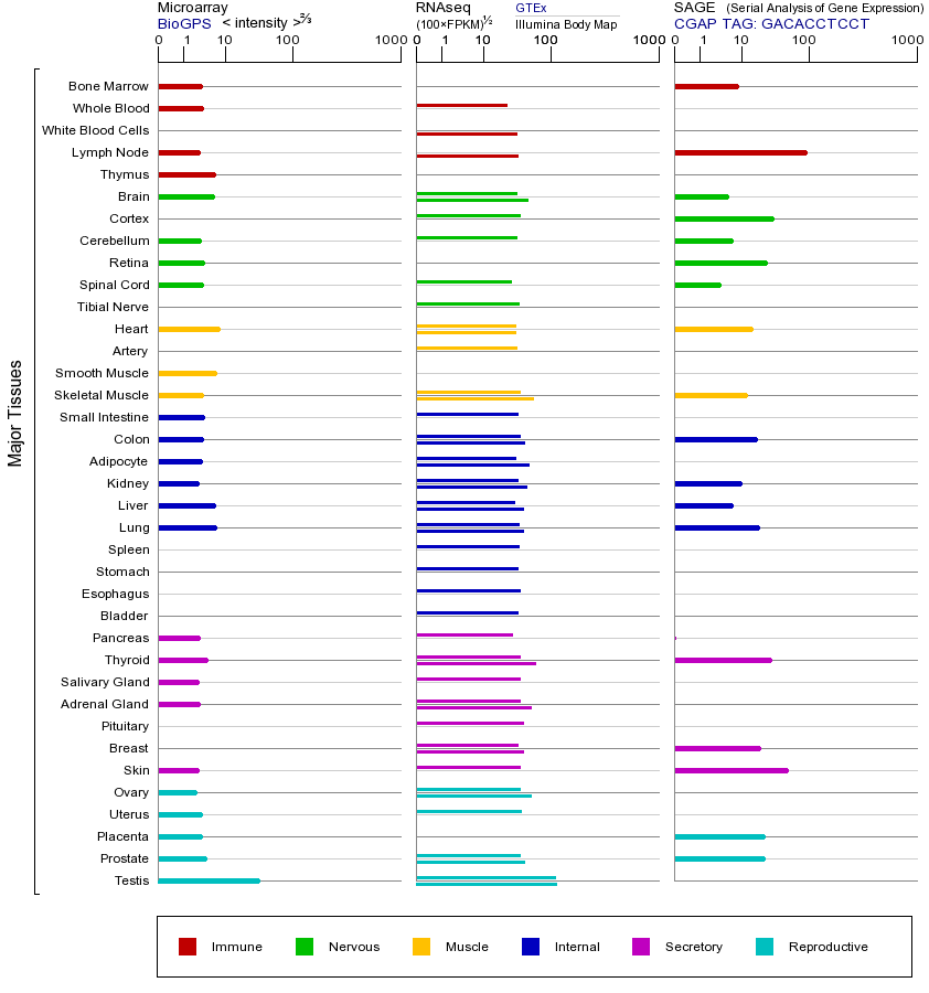 基因在不同组织中的表达图