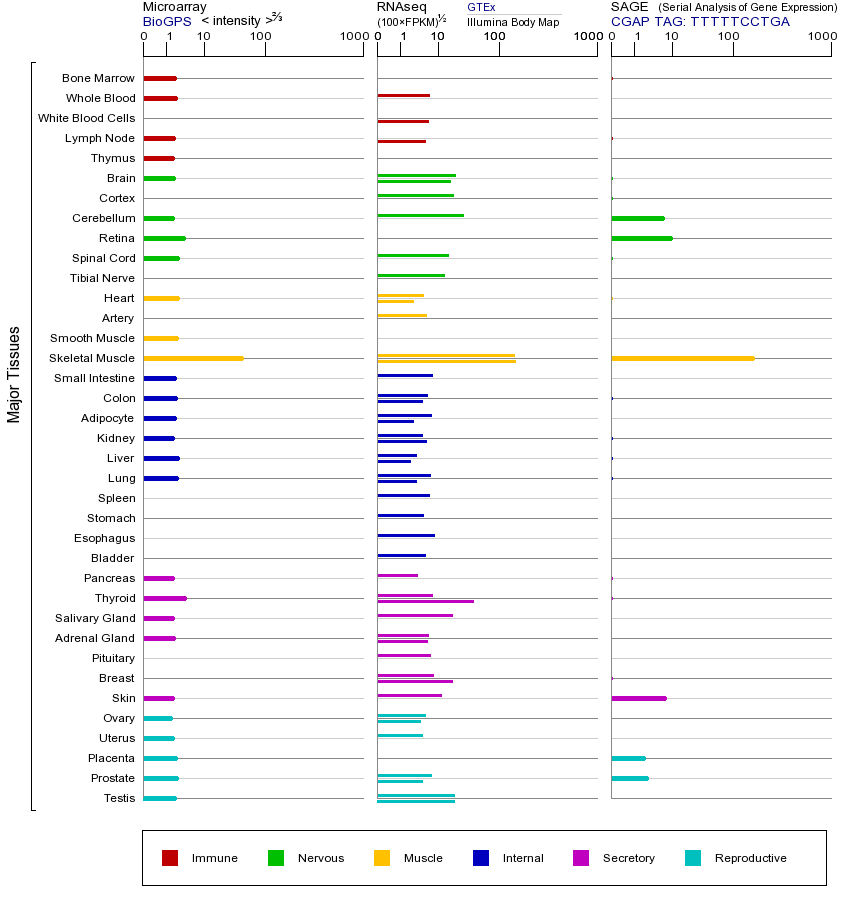 基因在不同组织中的表达图