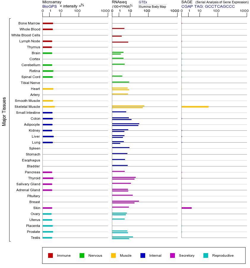 基因在不同组织中的表达图
