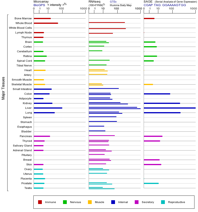 基因在不同组织中的表达图