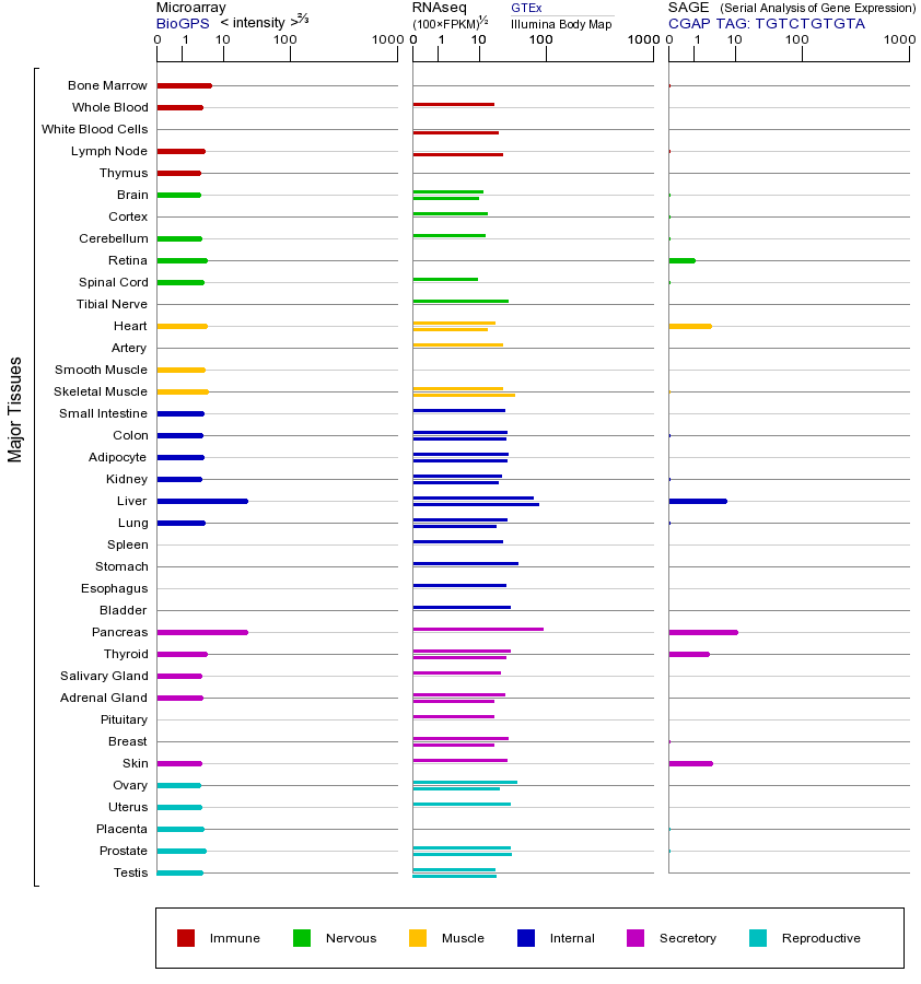 基因在不同组织中的表达图