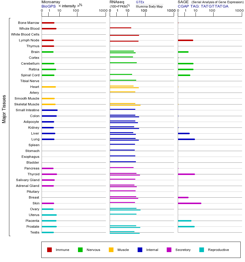 基因在不同组织中的表达图
