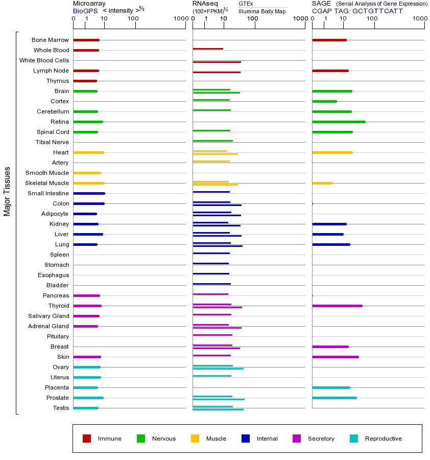 基因在不同组织中的表达图