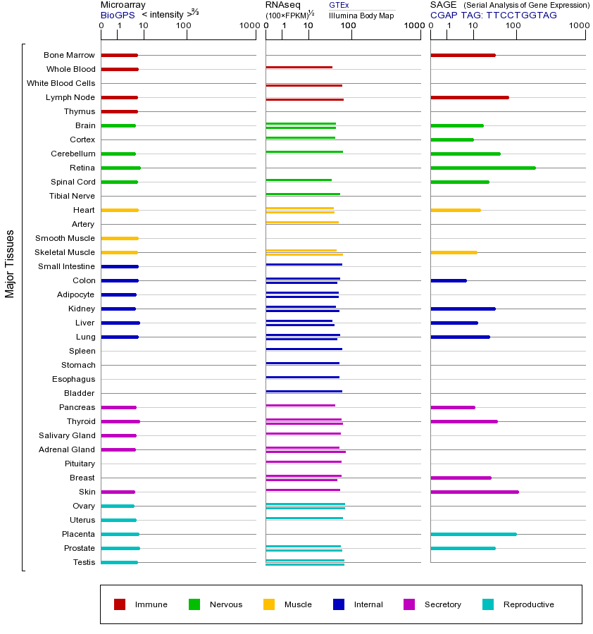 基因在不同组织中的表达图