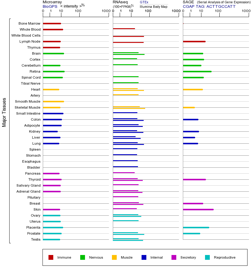 基因在不同组织中的表达图