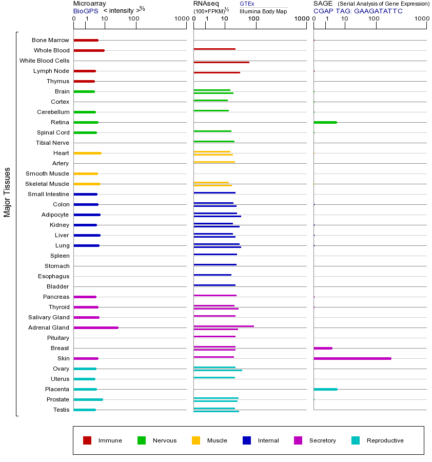 基因在不同组织中的表达图