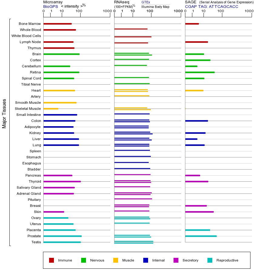基因在不同组织中的表达图