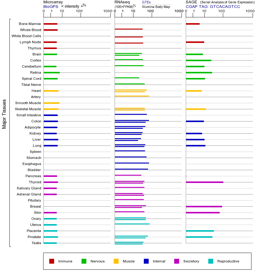 基因在不同组织中的表达图