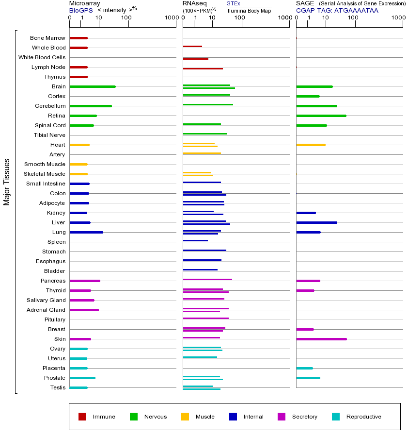 基因在不同组织中的表达图