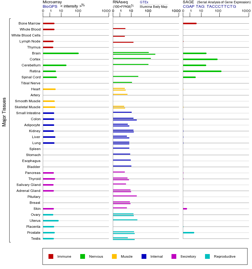 基因在不同组织中的表达图