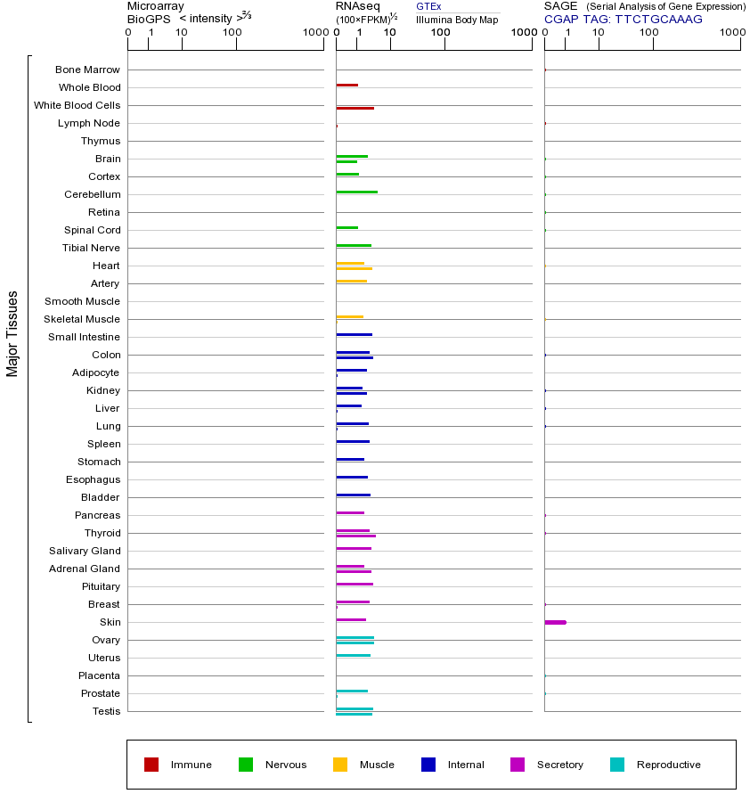 基因在不同组织中的表达图