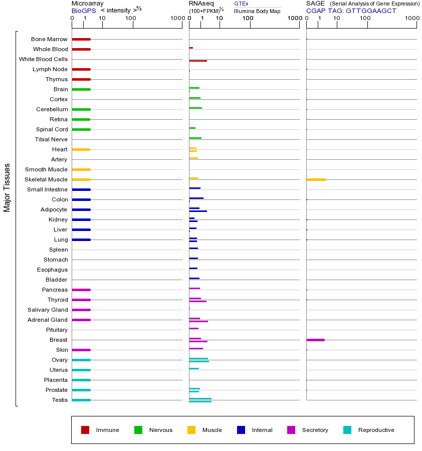 基因在不同组织中的表达图