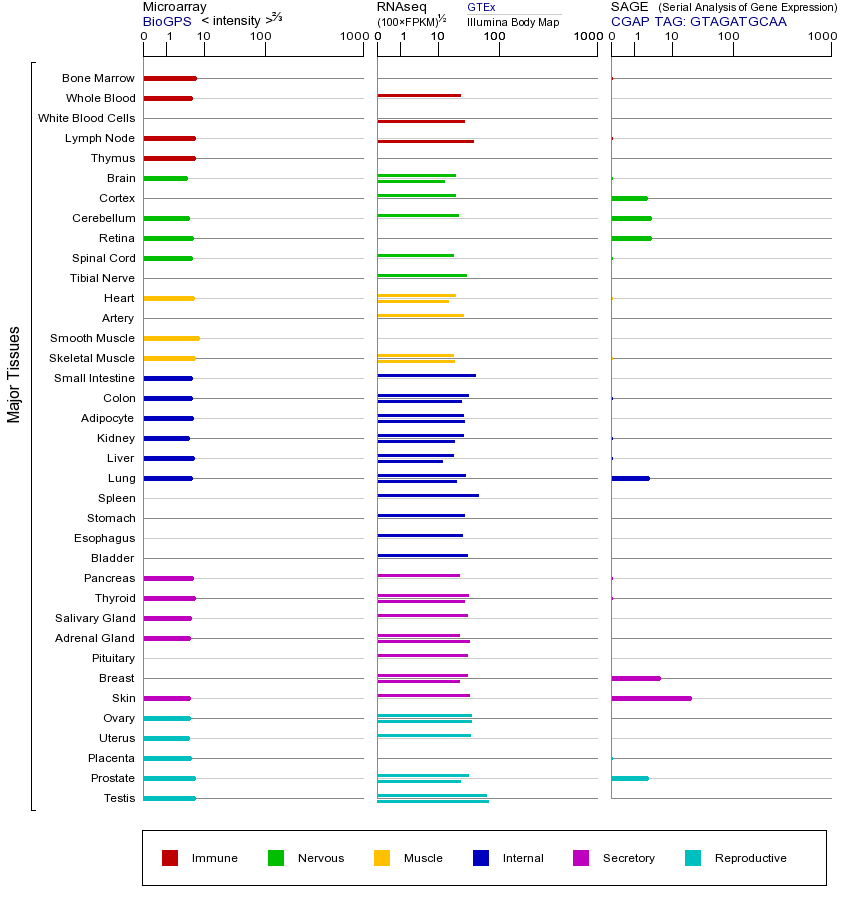 基因在不同组织中的表达图
