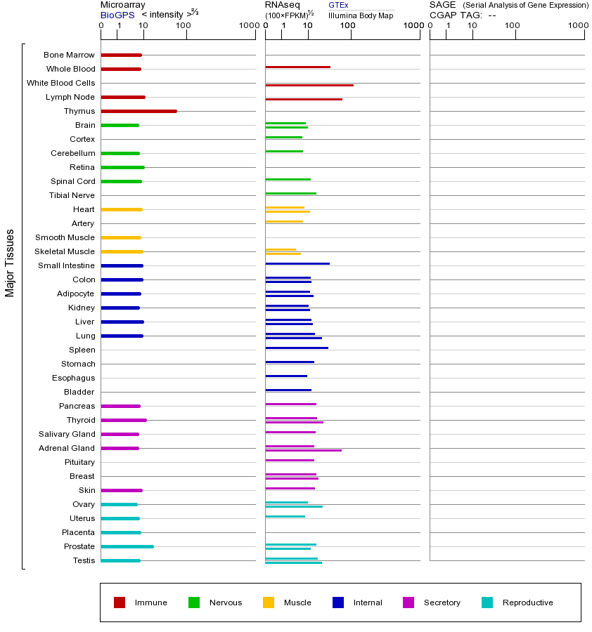 基因在不同组织中的表达图