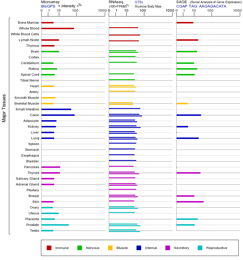 基因在不同组织中的表达图