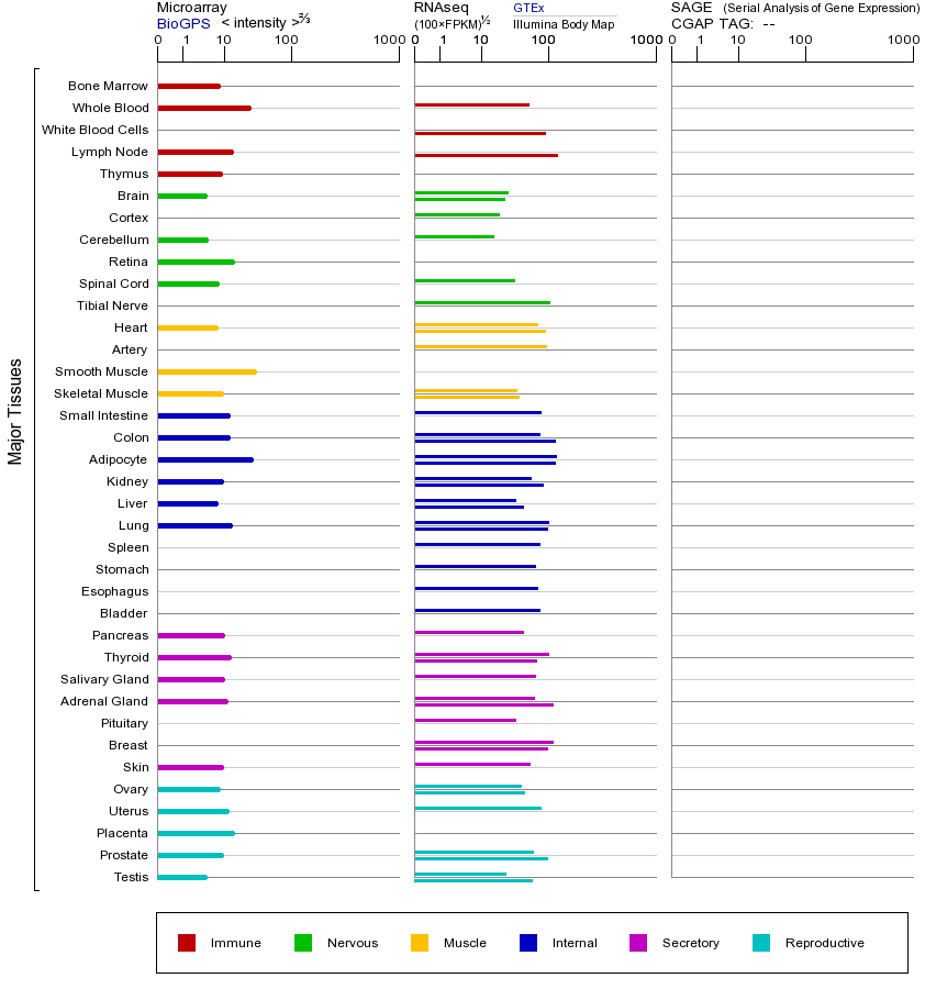基因在不同组织中的表达图