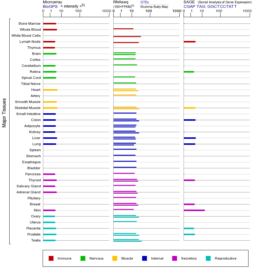 基因在不同组织中的表达图