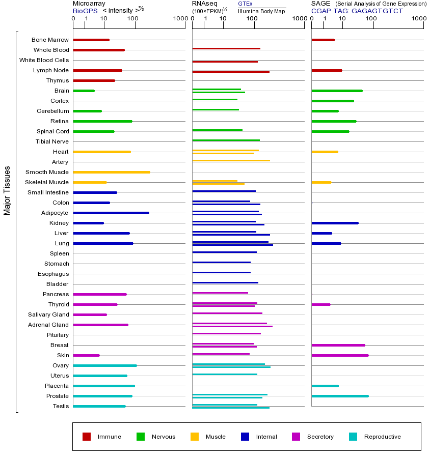 基因在不同组织中的表达图