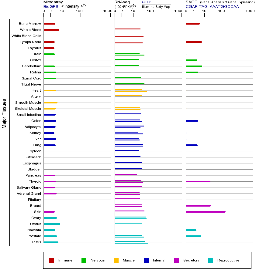 基因在不同组织中的表达图