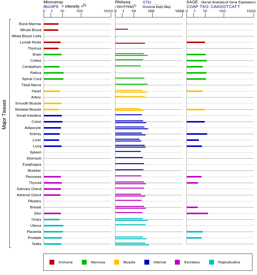 基因在不同组织中的表达图
