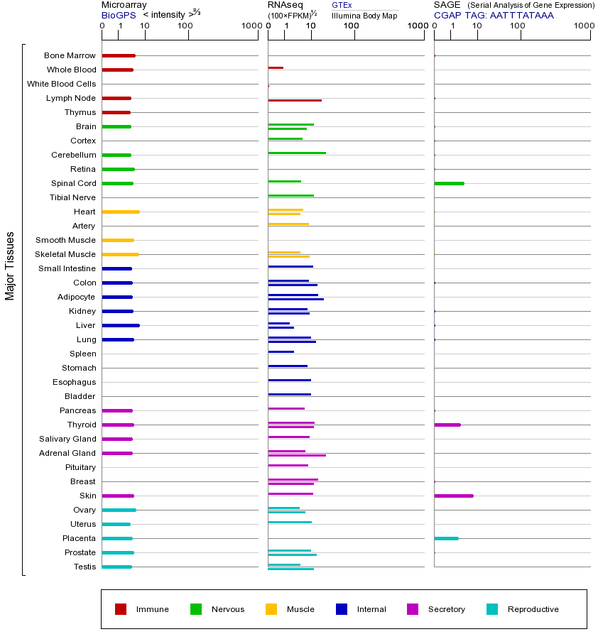 基因在不同组织中的表达图