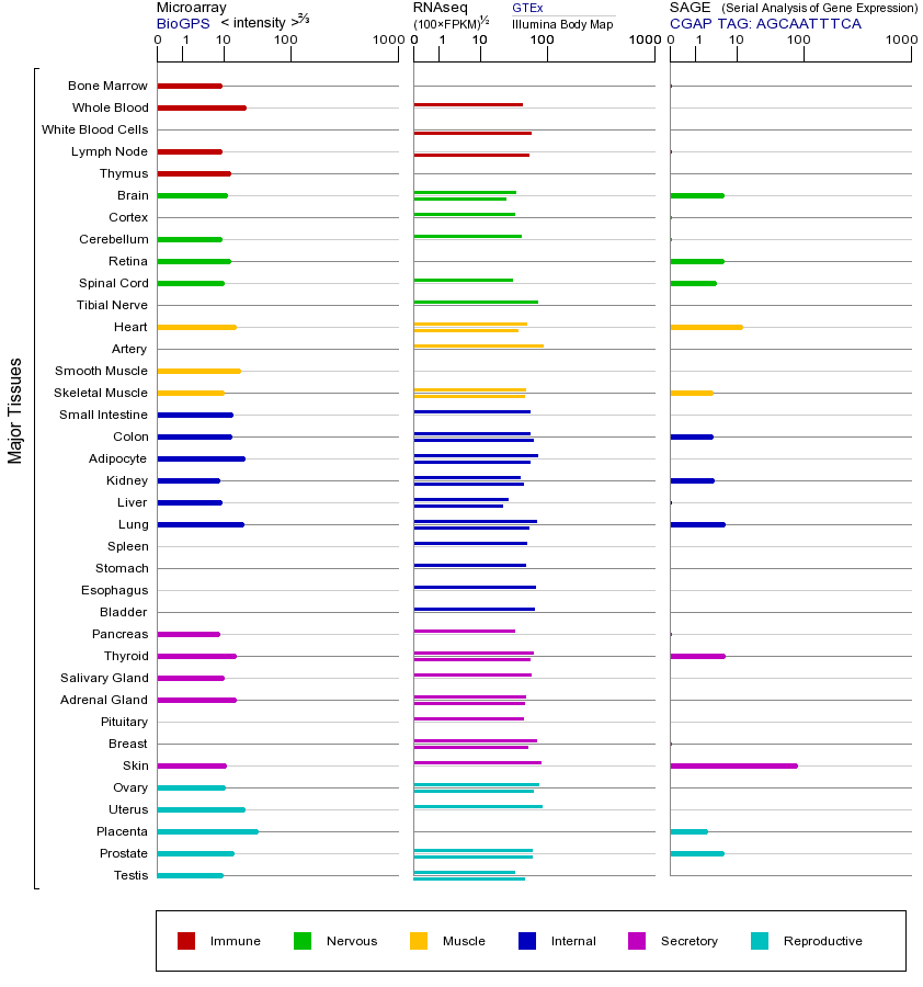 基因在不同组织中的表达图