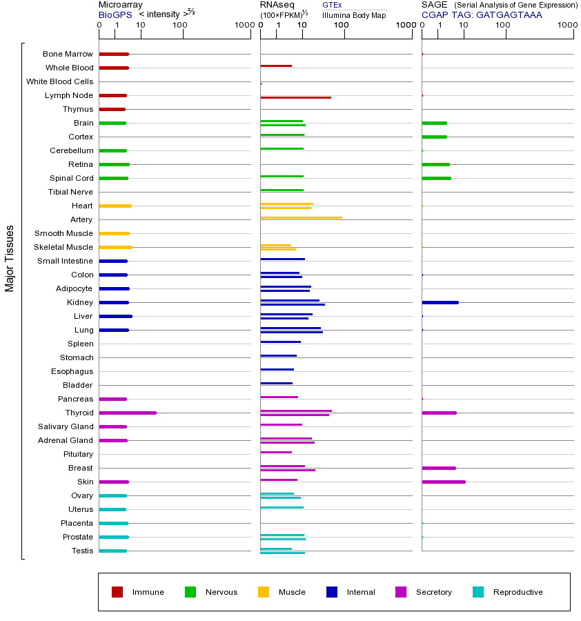 基因在不同组织中的表达图