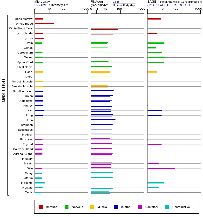基因在不同组织中的表达图