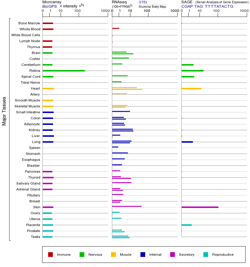 基因在不同组织中的表达图