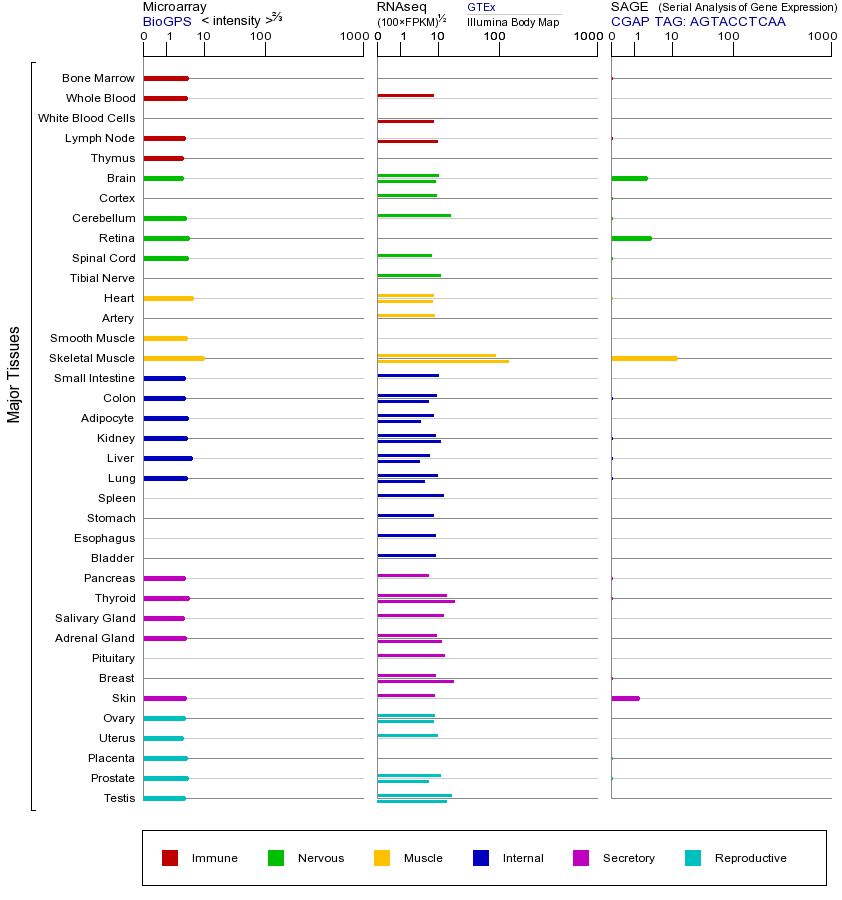 基因在不同组织中的表达图