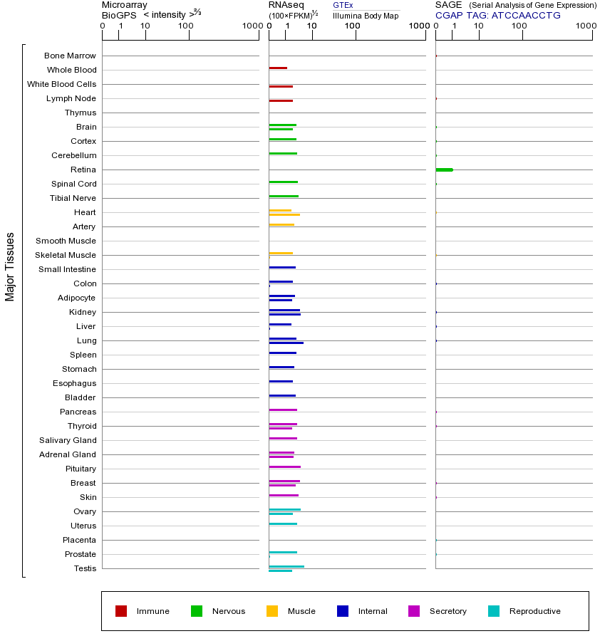 基因在不同组织中的表达图