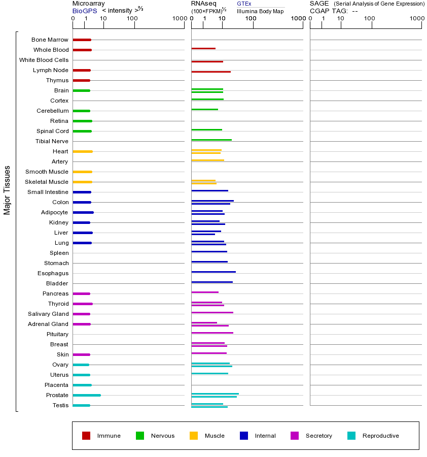 基因在不同组织中的表达图