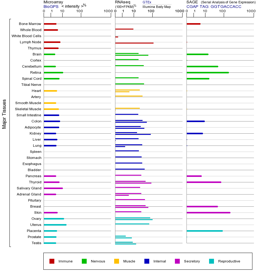 基因在不同组织中的表达图