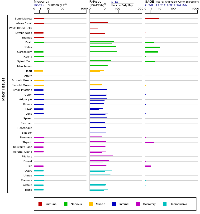 基因在不同组织中的表达图