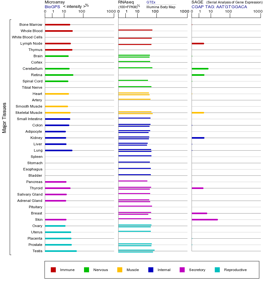 基因在不同组织中的表达图