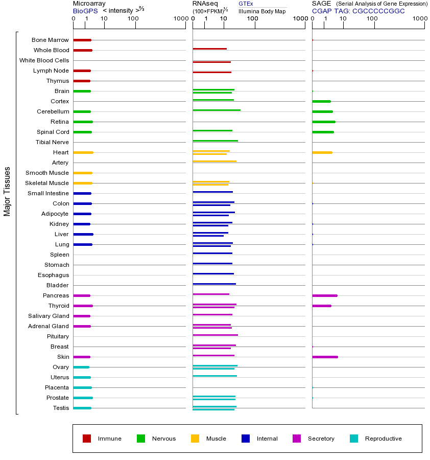 基因在不同组织中的表达图