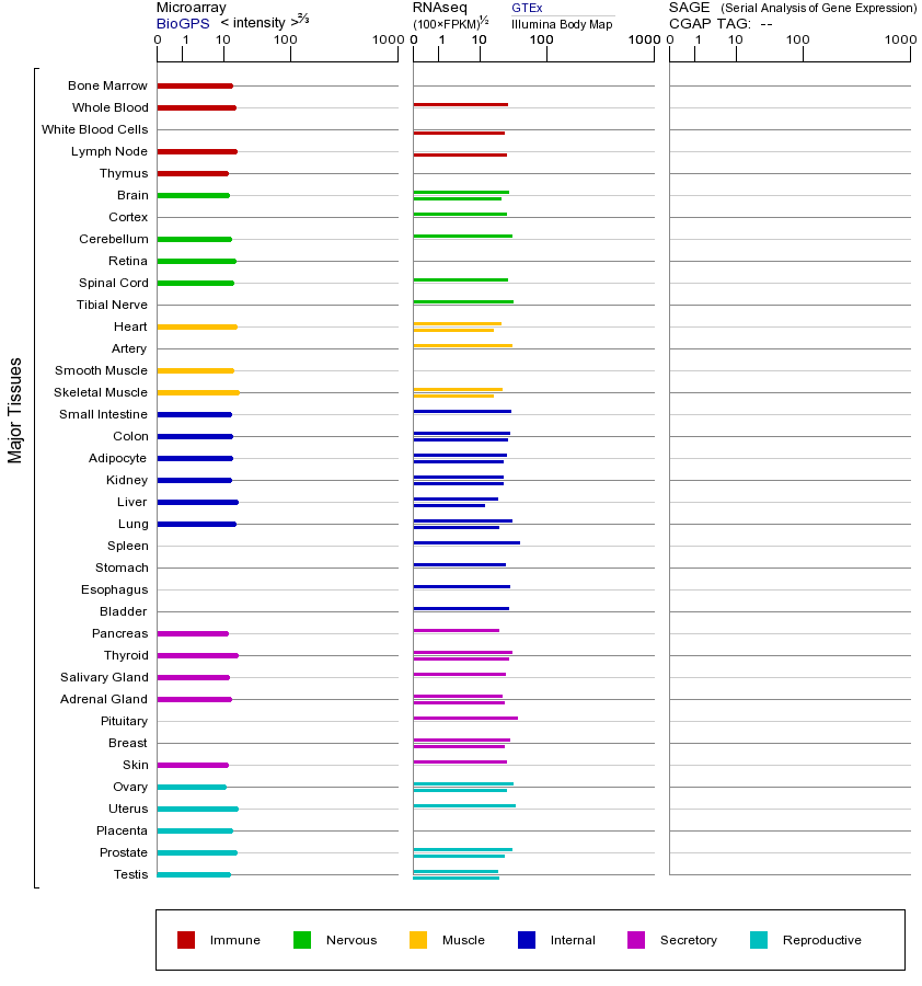 基因在不同组织中的表达图