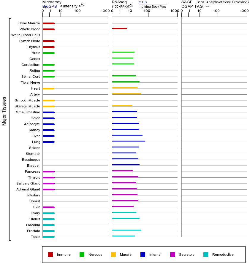 基因在不同组织中的表达图