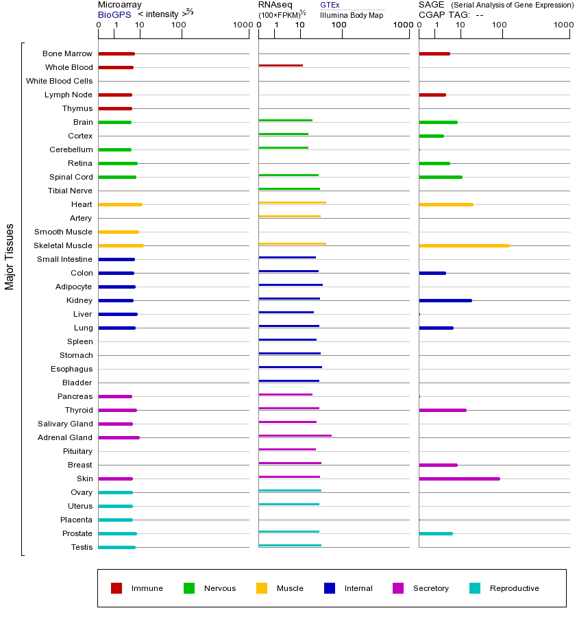 基因在不同组织中的表达图