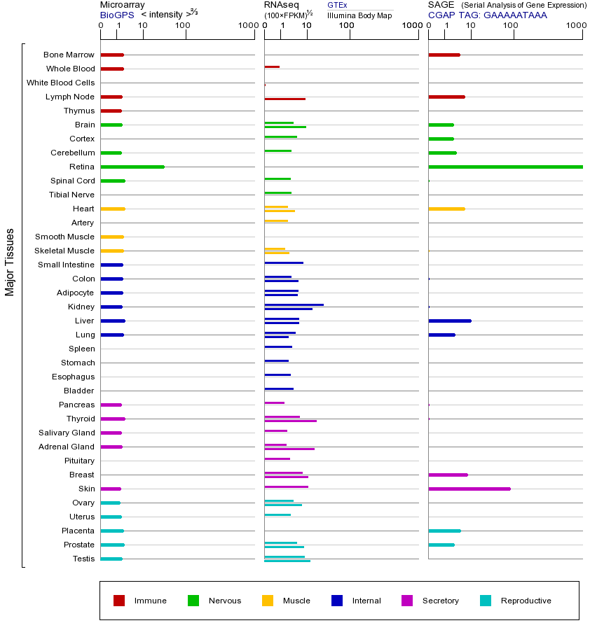 基因在不同组织中的表达图