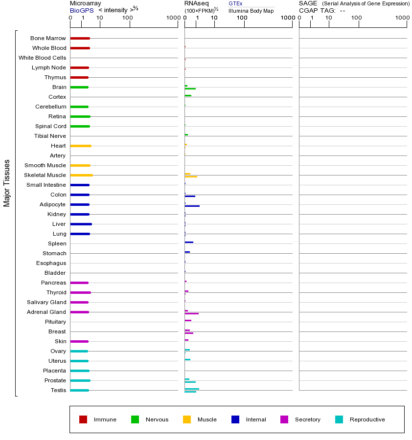 基因在不同组织中的表达图