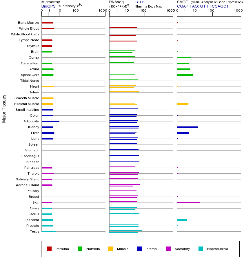 基因在不同组织中的表达图