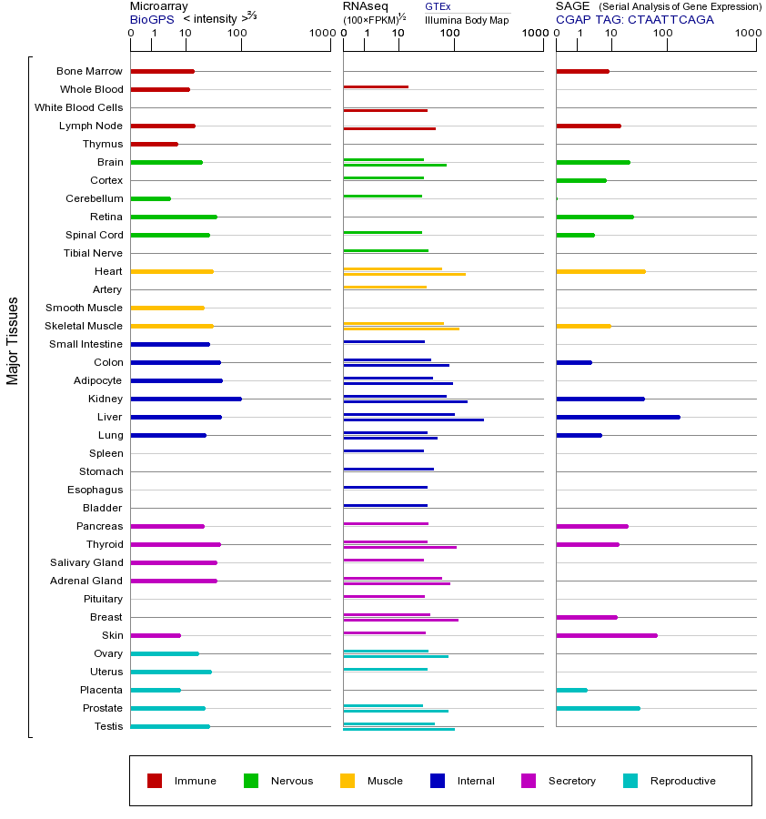 基因在不同组织中的表达图