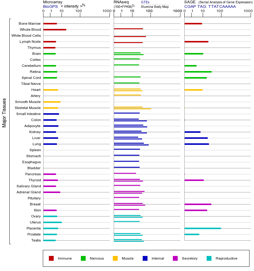 基因在不同组织中的表达图