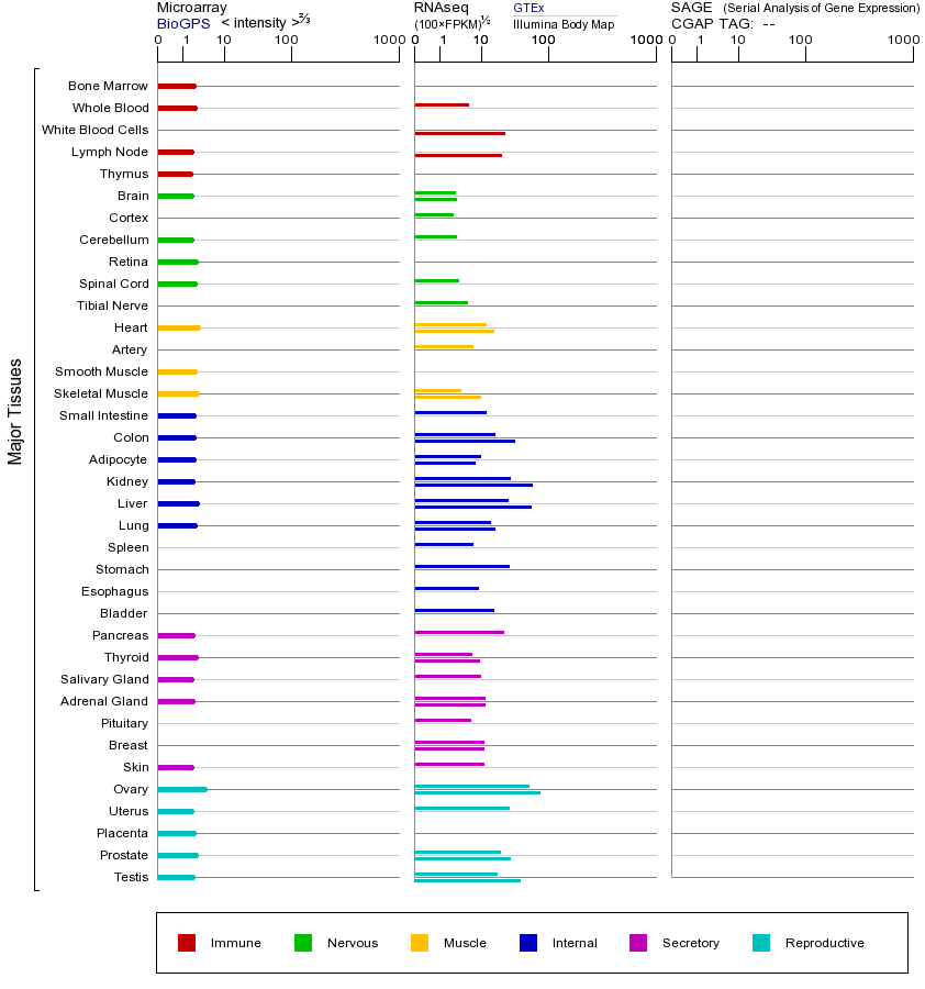 基因在不同组织中的表达图
