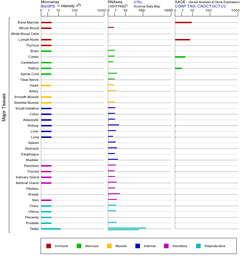 基因在不同组织中的表达图