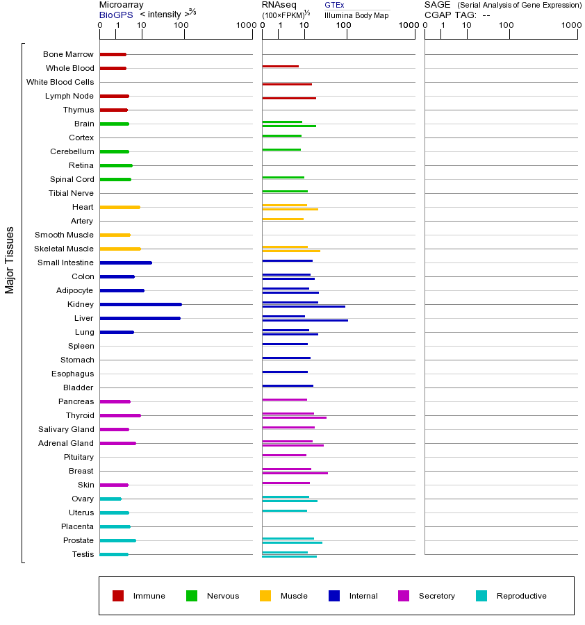 基因在不同组织中的表达图