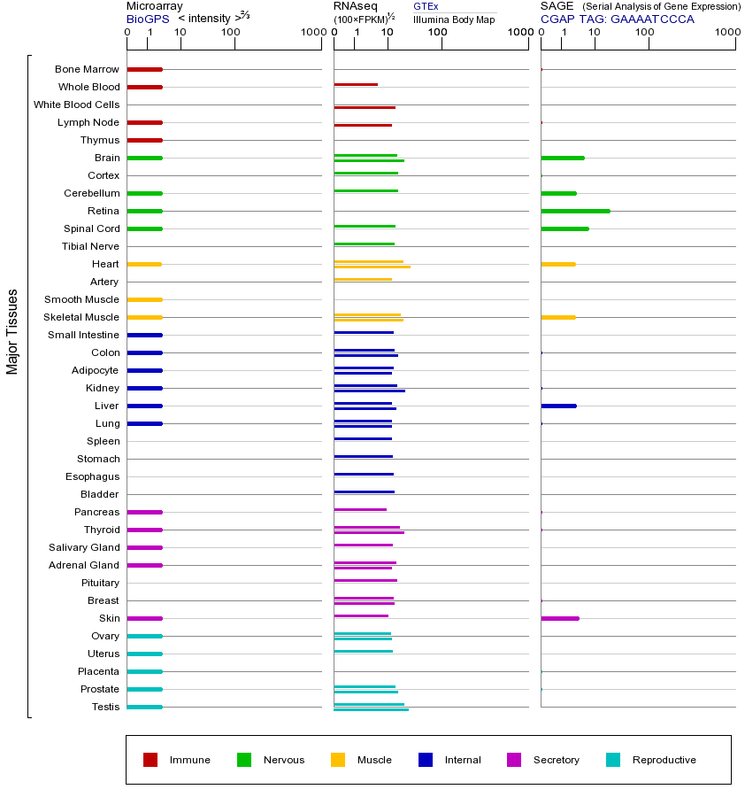 基因在不同组织中的表达图